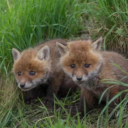 Jagdschloss Windelsbach